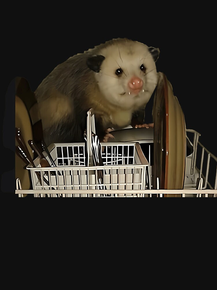 Dishwasher Opossum Meme by Eversoles
