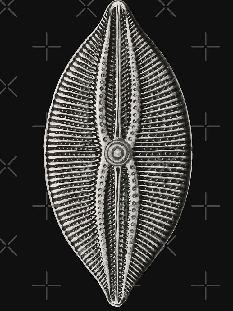 Ernst Haeckel Diatom algae by DreamingBeetle Unisex