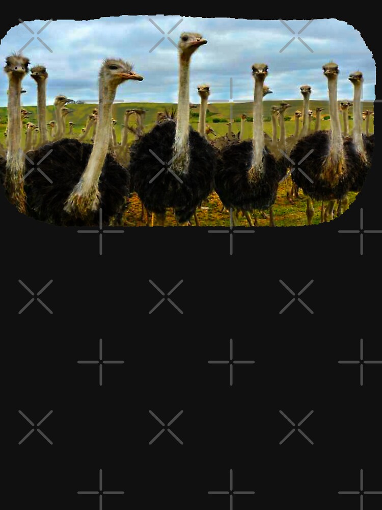 OSTRICHES by THE AMERICAN TEEVANGELIST
