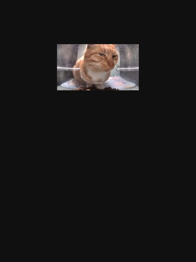Judging Orange Cat Funny Meme Sticker by Maplyx