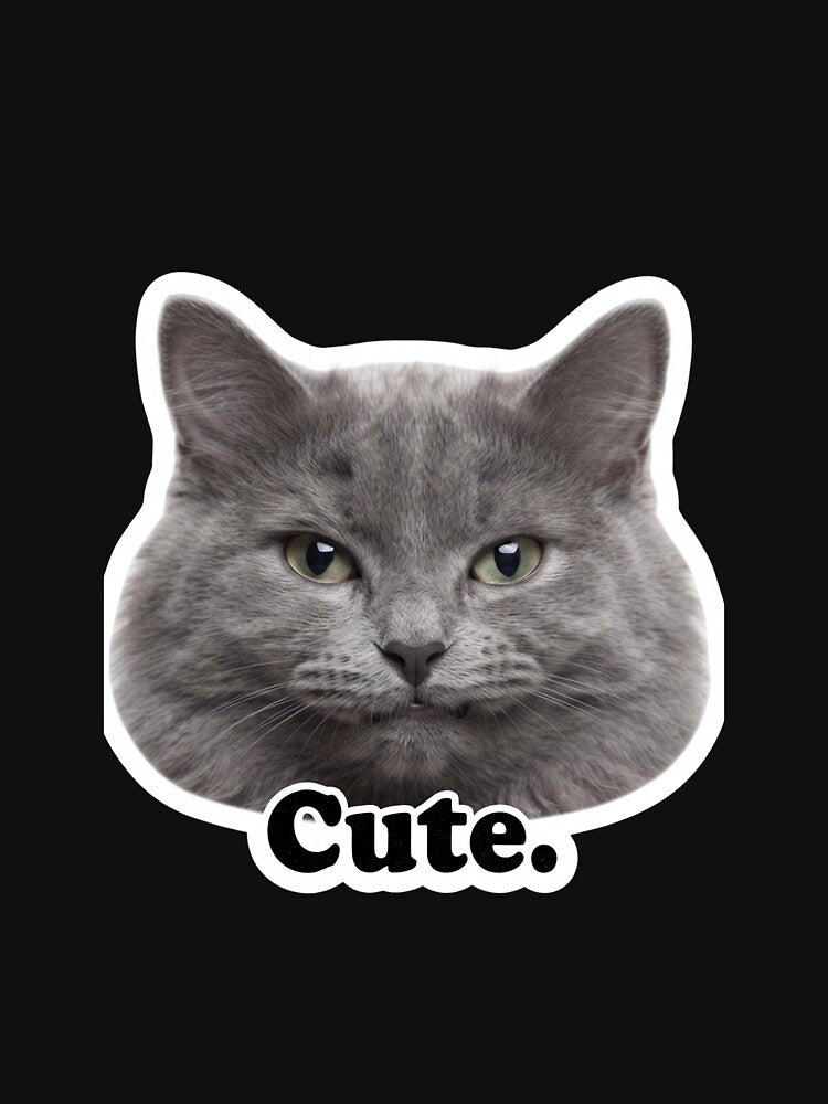 Cute Cat Meme Sarcastic Humor by redblink store