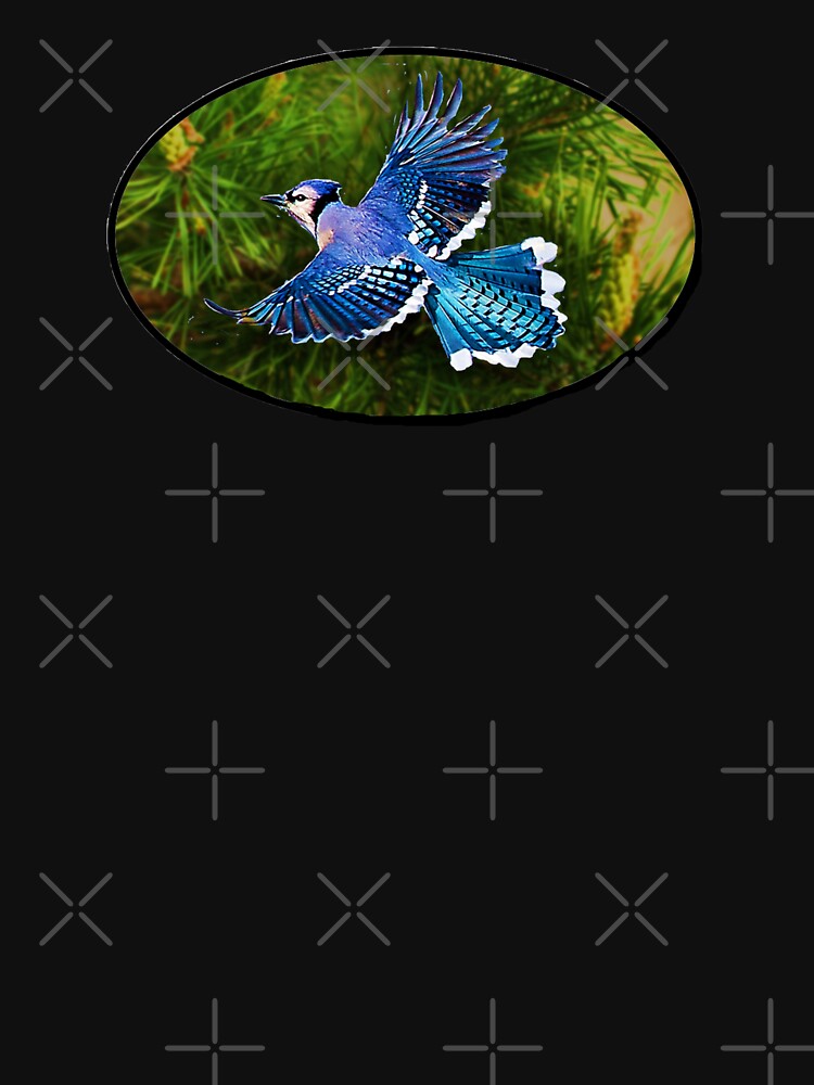 bluejay in flight by THE AMERICAN TEEVANGELIST