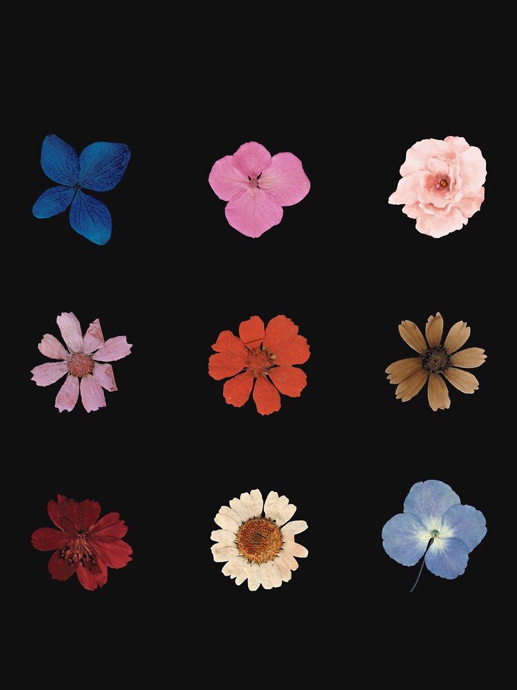 Dried flowers by otyliadesign