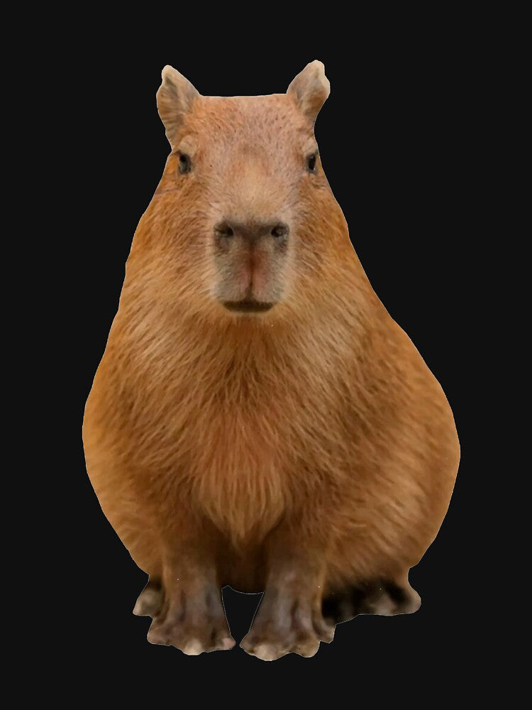 Capybara Art for Men Women Kids , Capybara Gift Lover by DZIRI NAJAT
