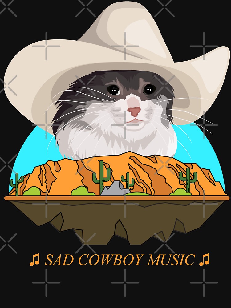 Sad Cat Wearing a Cowboy Hat Meme by CelestialHCO