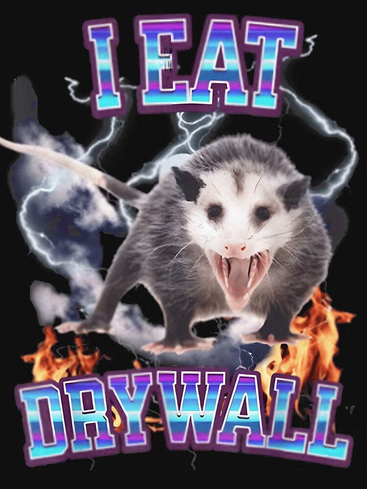 I EAT DRYWALL POSSUM by ChestOutLoud