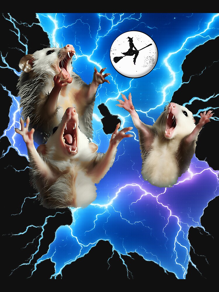 Moon 3 Opossum Funny Weird Cursed Meme For Three Possum by MOHAMED FRASER