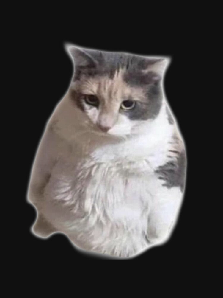 sad grumpy cat by CatDealer