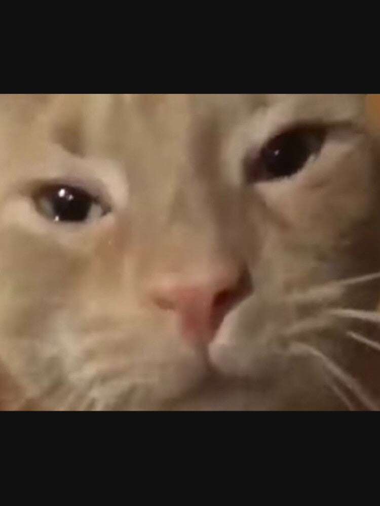 sad crying cat by CatDealer