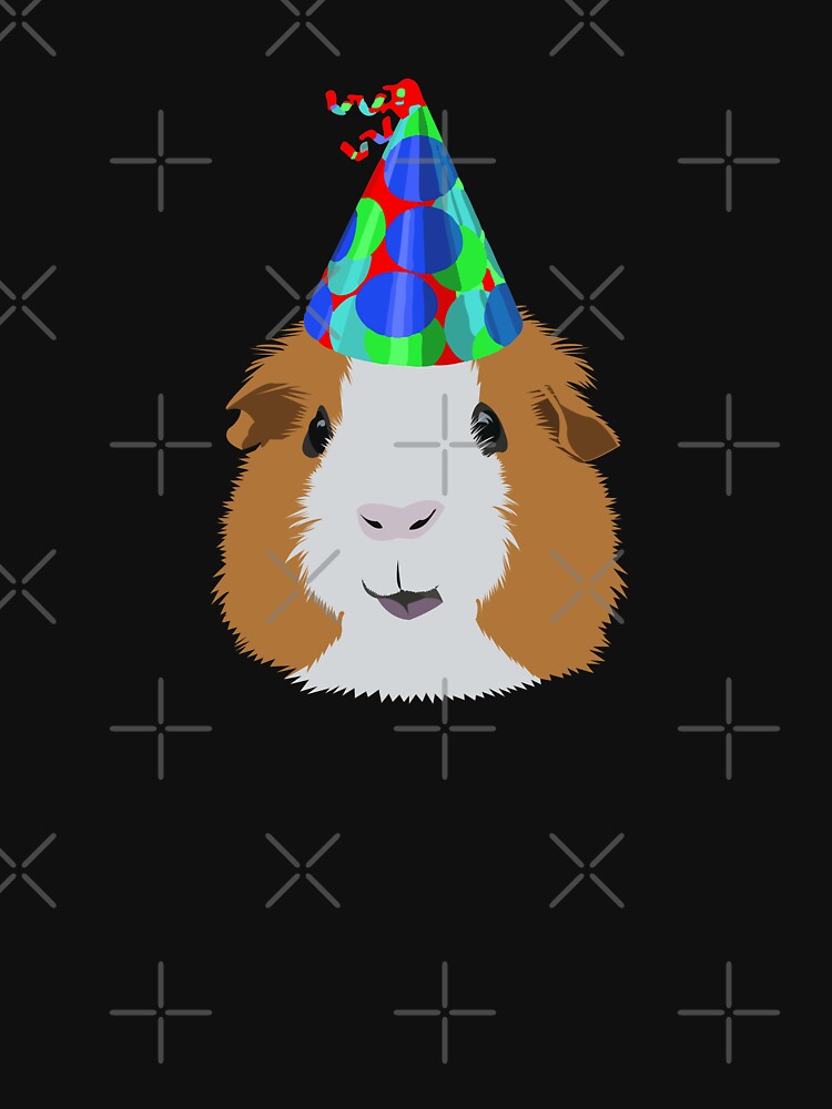 Birthday Party Guinea Pig by KCPetPortraits