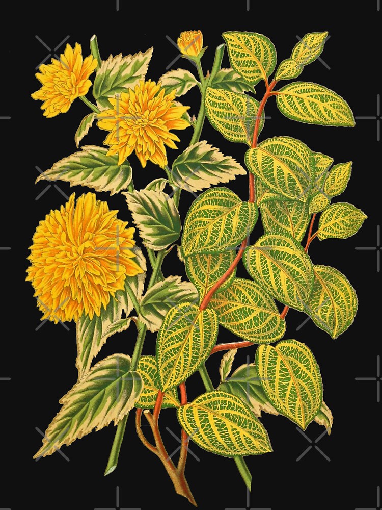 Honeysuckle Botanical Print by Veriepear