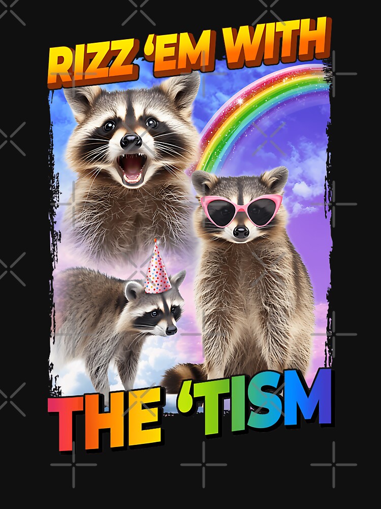 Funny Raccoon Meme Rizz Em With The Tism by LeoVargasVelha