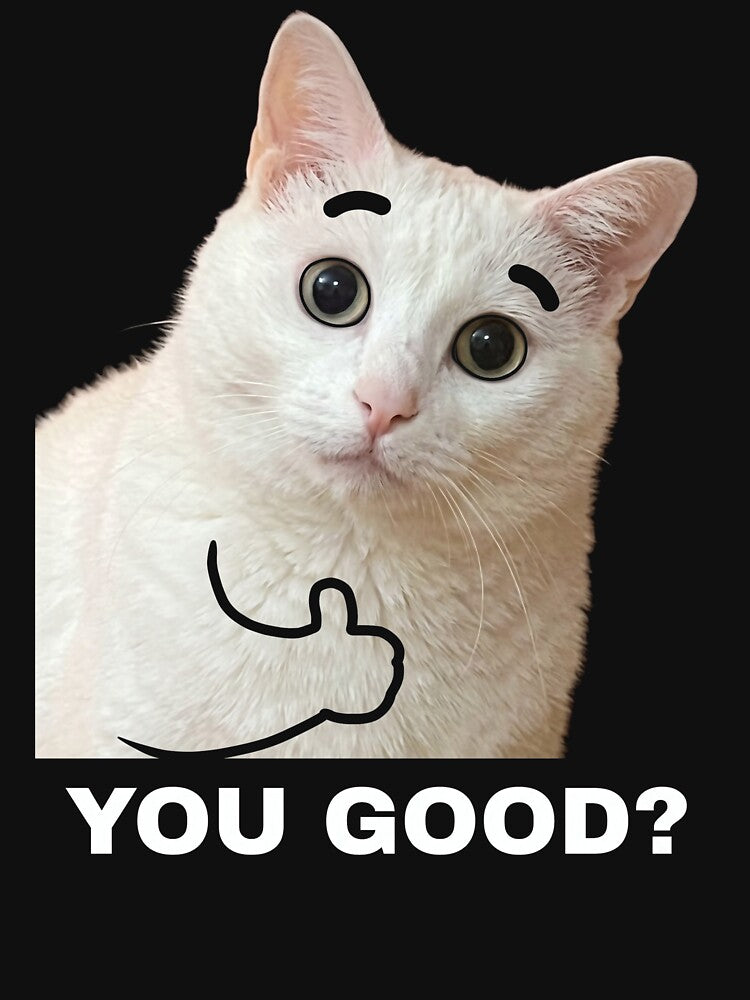 You Good Cat Shirt Funny White Cat Meme T-Shirt Thumbs Up Cat Tee Relatable Humor Shirt Cat Lover Gift Sarcastic Cat Top [Black Shirt Only] by Off-Road-Zone
