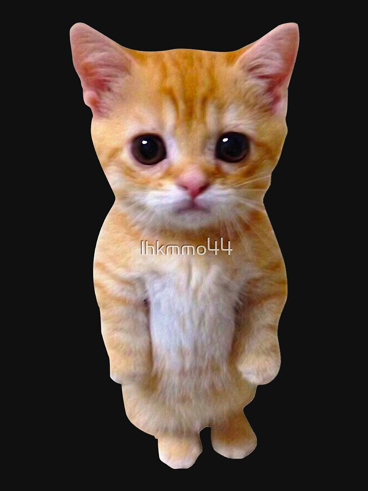 El Gato Meme Sad Crying Cat Munchkin Kitty Meme Trendy by lhkmmo44