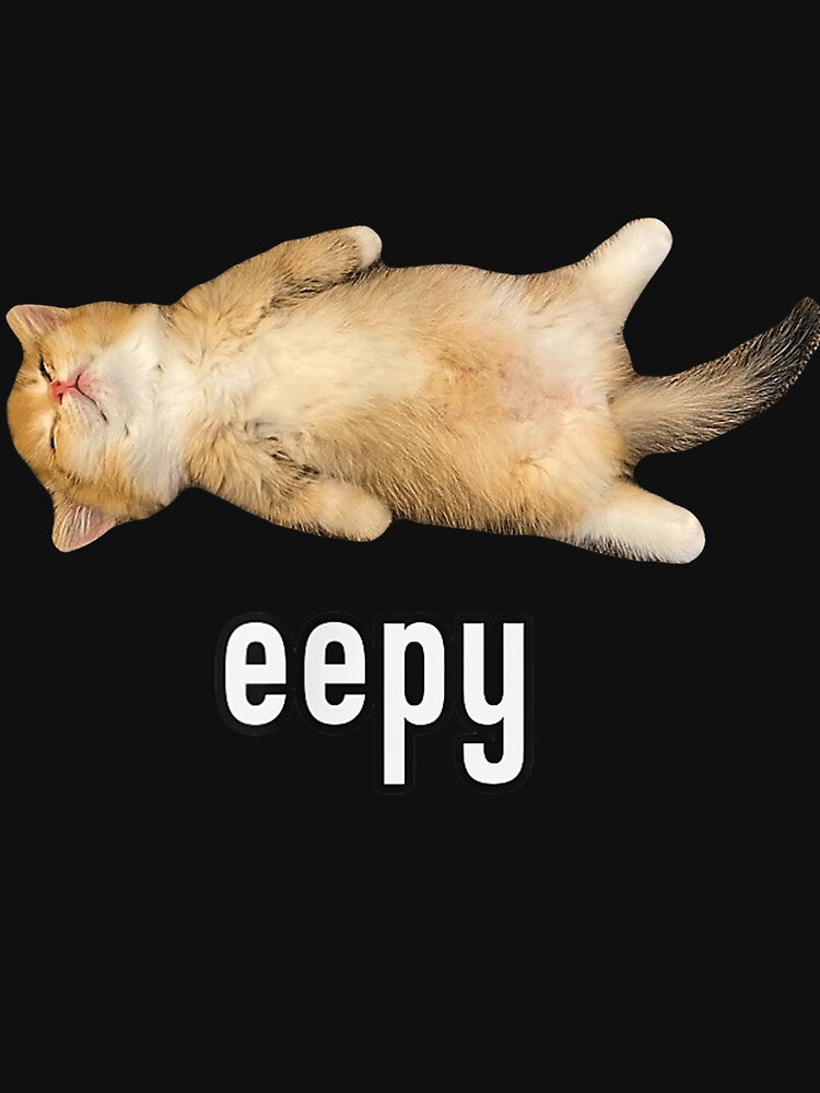 Eepy Cat Silly Sleepy Cat Meme by GeorgeKiryluk
