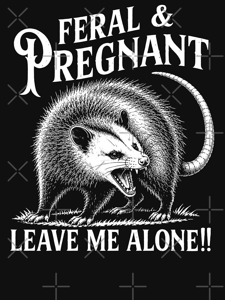 Feral and Pregnant Opossum Pregnancy Mom to Be 2026 Mom by will freed18