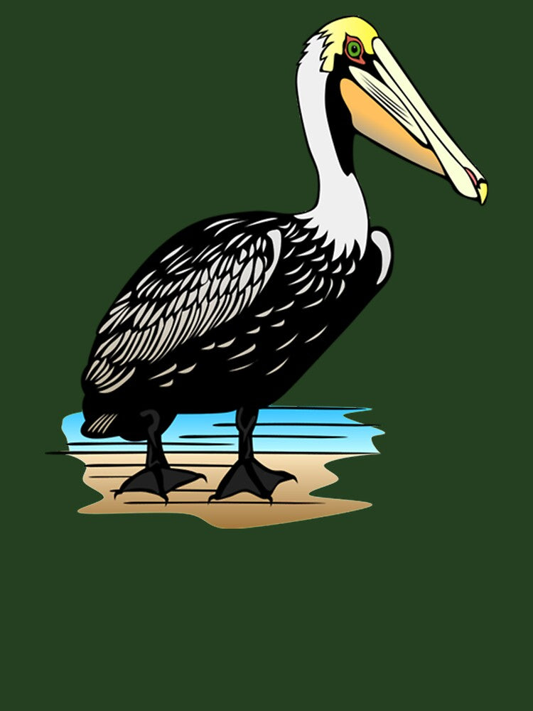 Pelican bird watching birding animal by untagged-shop