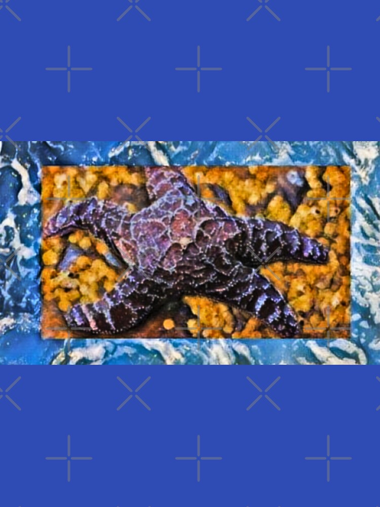 Star fish Pacific Coast by Aquila Light Pictures