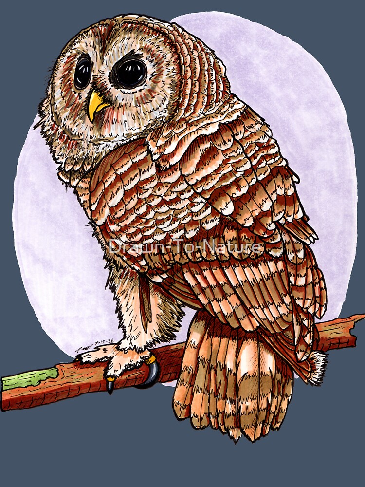 Barred Owl - Hand Drawn Gifts for Bird Lovers by Drawn-To-Nature