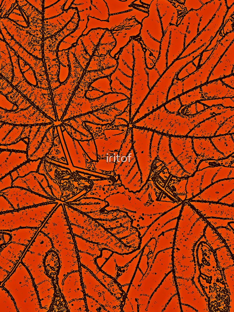 Pumpkin color leaves by Iritof by iritof