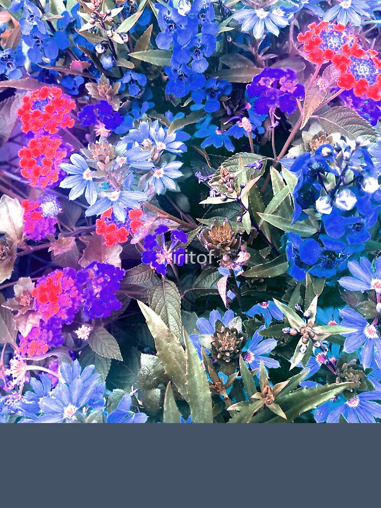 Blue Purple Pink spring flowers by iritof