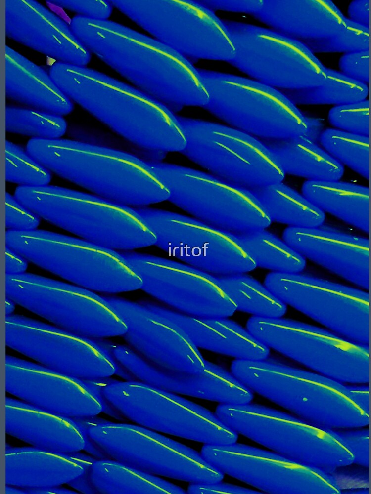 Blue yellow strikes by Iritof by iritof