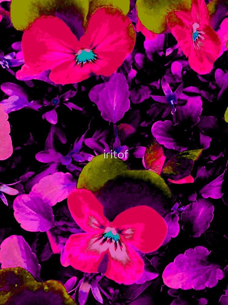 Purple Hot pink flowers by Iritof by iritof