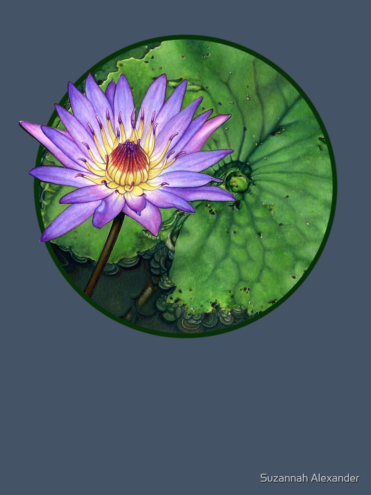 Water Lily at the Conservatory of Flowers by Suzannah Alexander