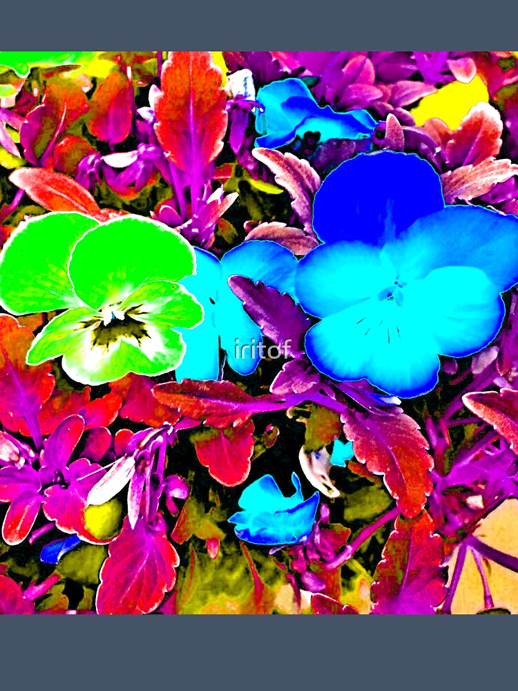 Pansy flowers in Blue and green by Iritof by iritof
