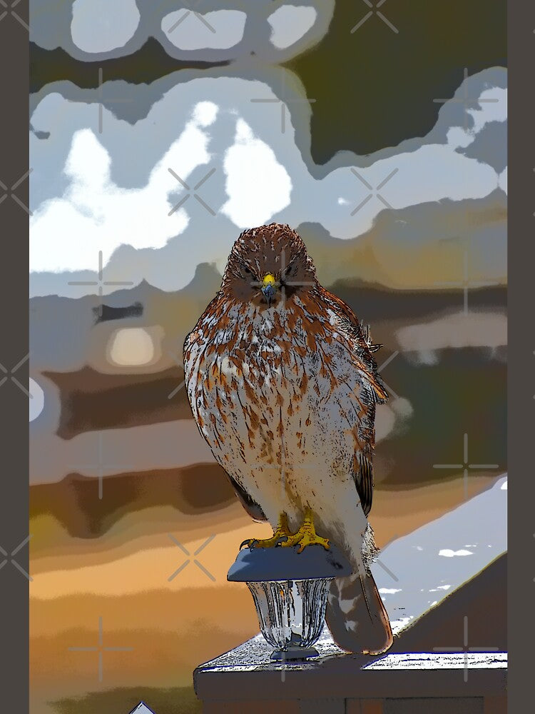 Chicken Hawk Watching You! by NC NatureVisions