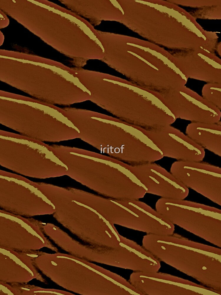 Brown mash by Iritof by iritof
