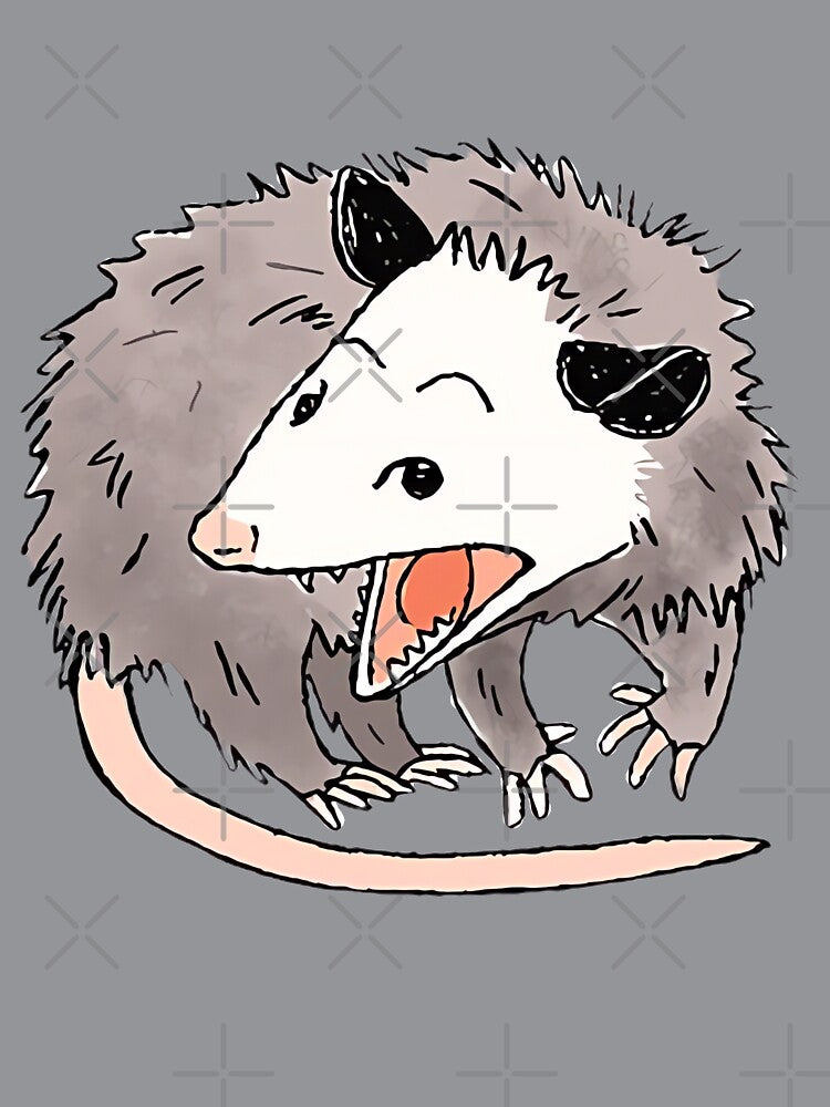 Opossum Cartoon by MorningFive