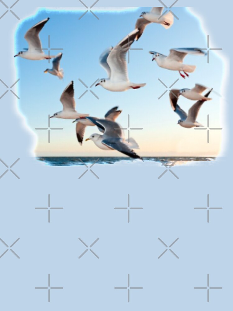 SEAGULLS by THE AMERICAN TEEVANGELIST