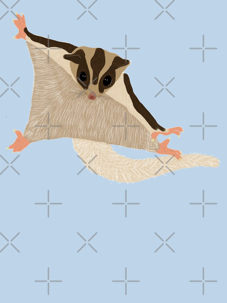 Sugar Glider by Amy Hadden