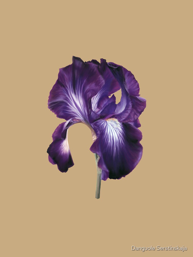 Hand Drawn Iris Artwork by Brush & Soul