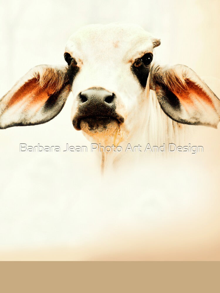 BRAHMAN CALF, FOR COUNTRY THEMED HOME DECOR by Barbara Jean Photo Art And Design
