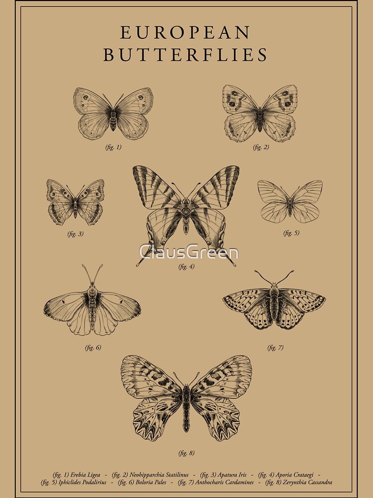 European butterflies - vintage style by ClausGreen