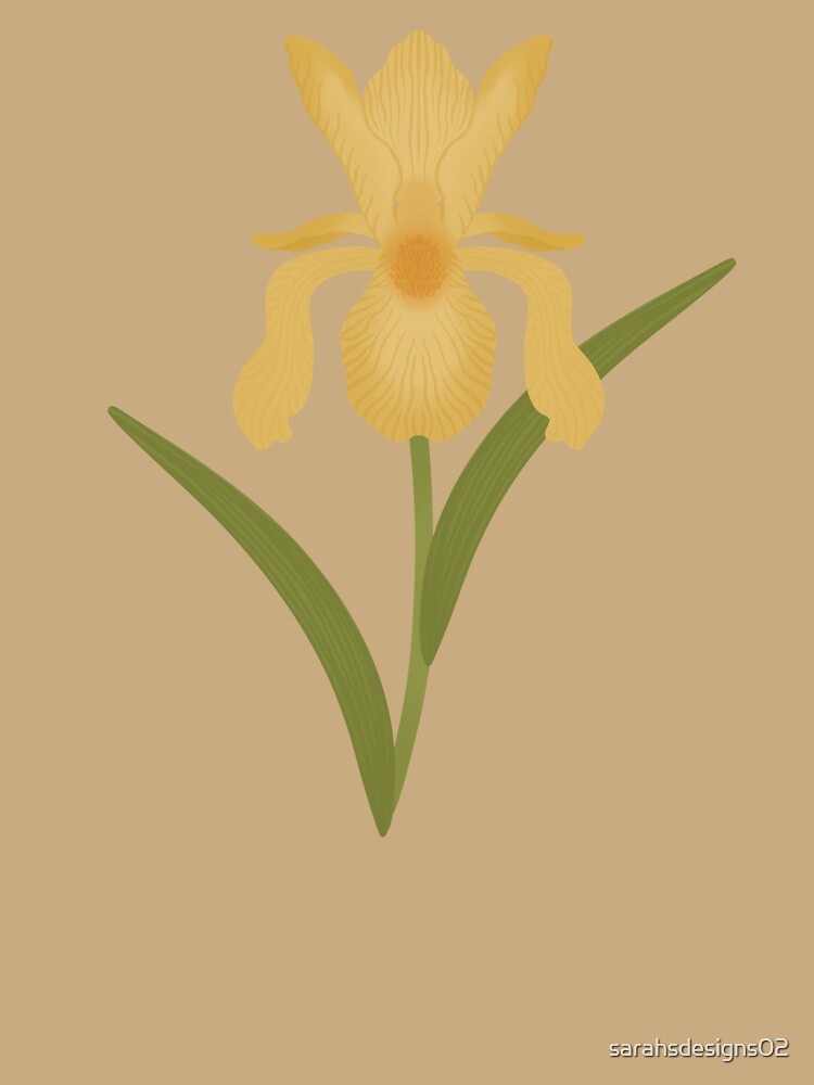 Yellow Iris Flower by sarahsdesigns02