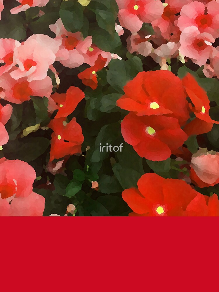 Red Pink Green flowers by Iritof by iritof