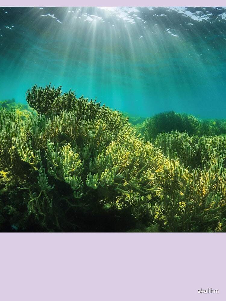 natural sunlight underwater by skalihm