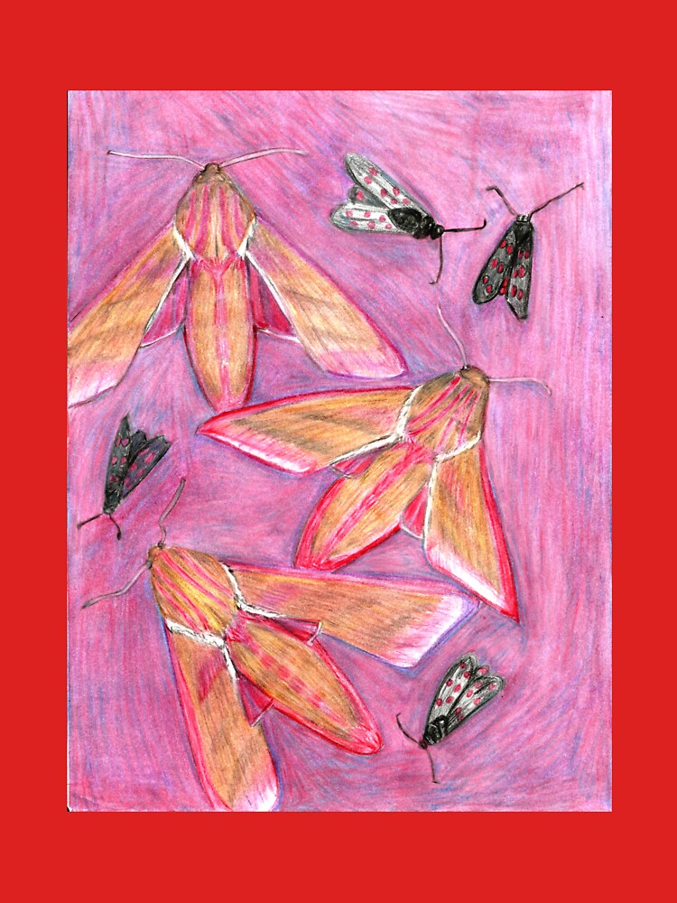Hawk Moths and Burnet Moths on pink background by Kyleacharisse Unisex