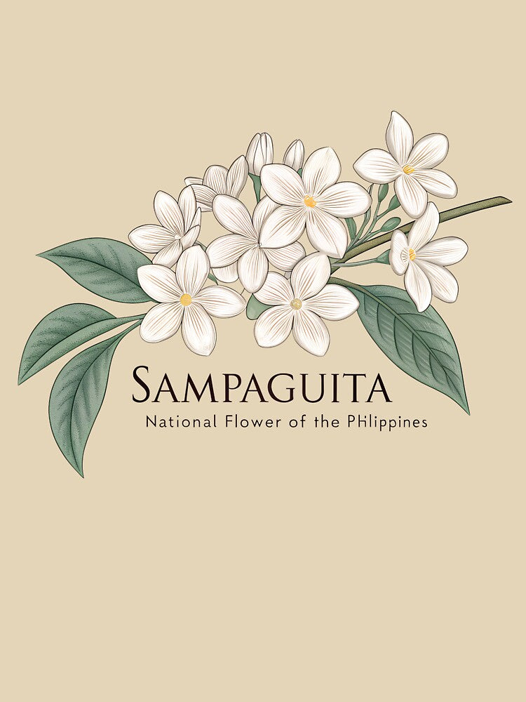 Sampaguita National Flower of the Philippines – Elegant Jasmine Floral Design by VividOrganica