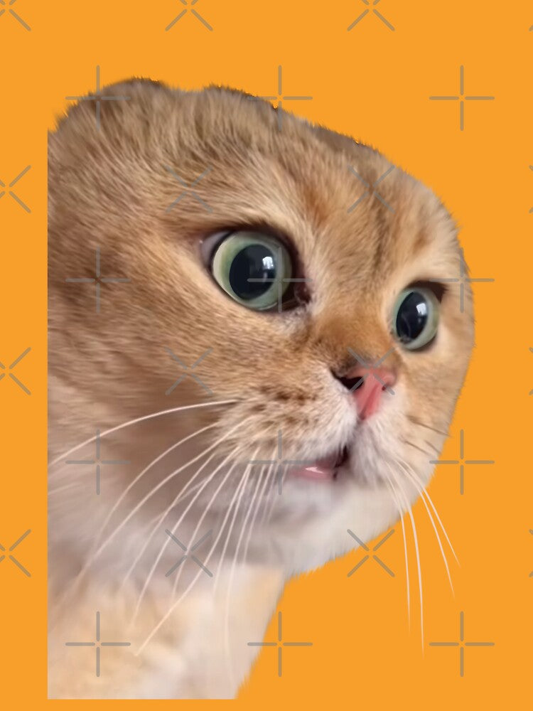 Cat boyfriend meme, 2 cat couple meme by Prime_Store