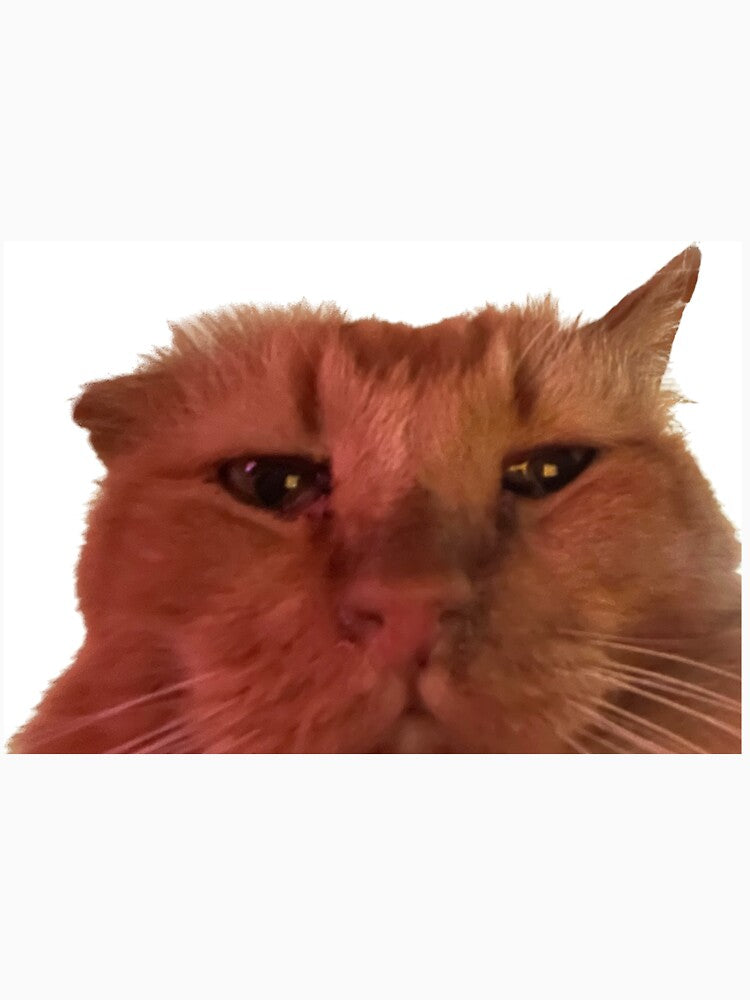 Cat Waiting for you to pick up Facetime by viachu888