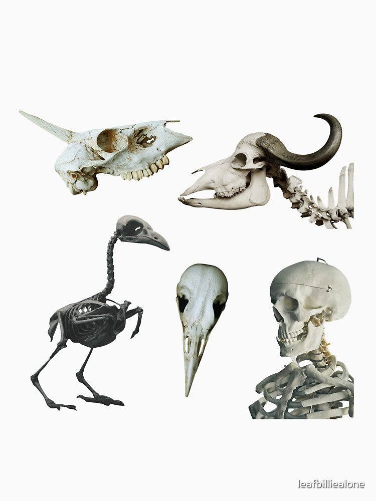Skulls 'n' bones by leafbilliealone