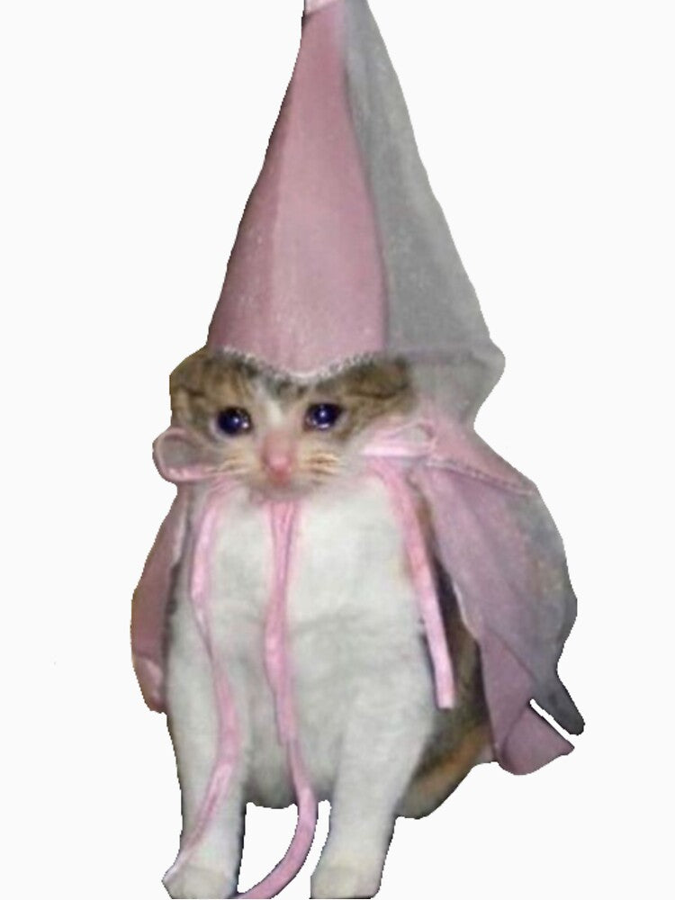 princess crying kitty cat meme by BrontesWhimsyStore