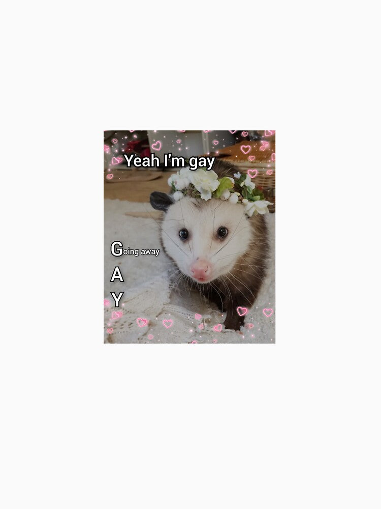 Yeah, I'm Gay - Opossum Meme Funny Print by BlossomPossumPrints