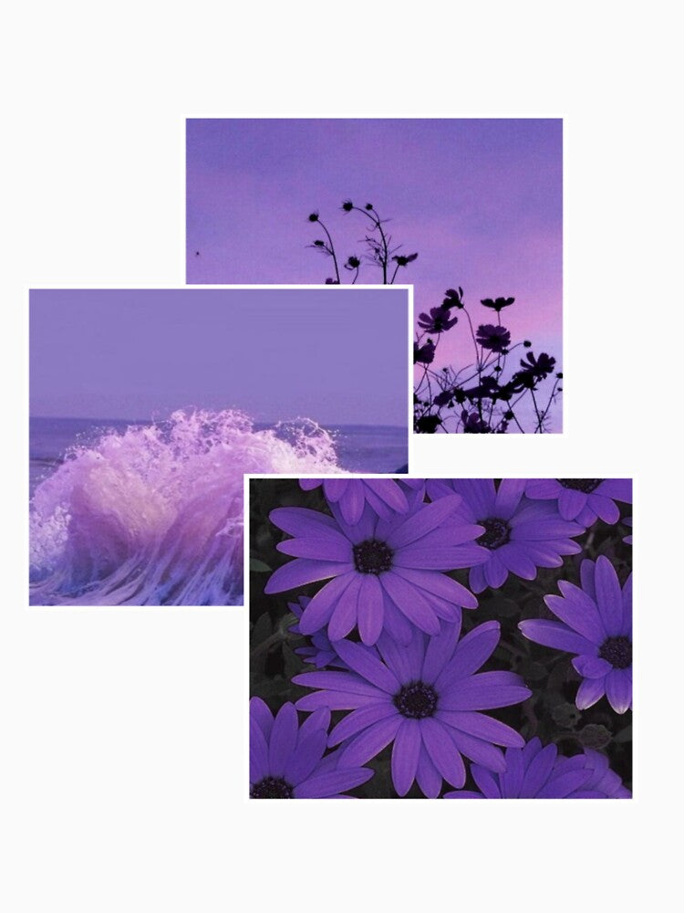 Purple Pictures by Amanda Dietrich