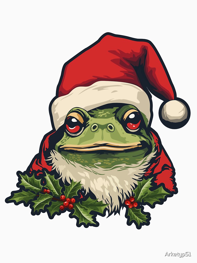 Festive Frog in Santa Hat by Arketyp51