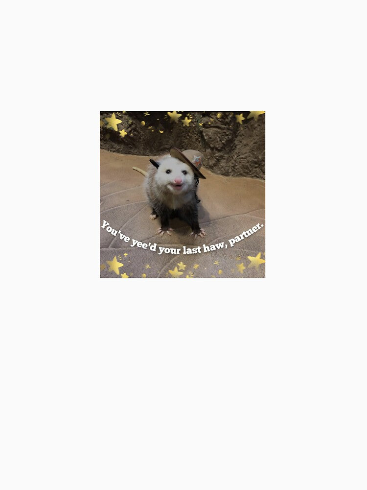 You've Yee'd your last haw - Cowboy meme Opossum Print by BlossomPossumPrints
